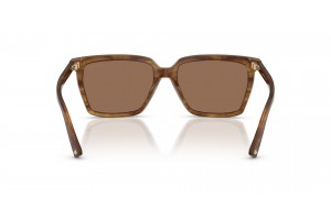 JIMMY CHOO JC5051 Brown Havana napszemüveg
