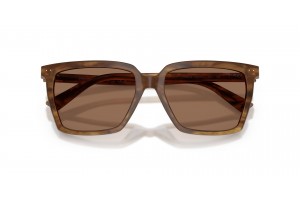 JIMMY CHOO JC5051 Brown Havana napszemüveg