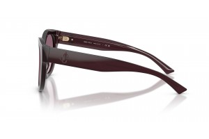 Jimmy Choo JC5053 Opaline Prune napszemüveg