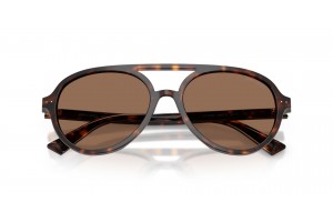 JIMMY CHOO JC5055U Havana Dark Brown női napszemüveg