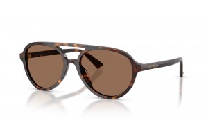 JIMMY CHOO JC5055U Havana Dark Brown női napszemüveg
