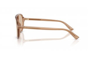 Jimmy Choo JC5055U 507693 Transparent Tan Brown napszemüveg