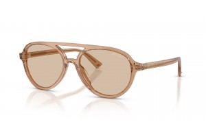 Jimmy Choo JC5055U 507693 Transparent Tan Brown napszemüveg