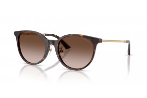 Jimmy Choo JC5056JD Havana barna napszemüveg
