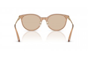 JIMMY CHOO JC5056JD 507693 Transparent Tan napszemüveg