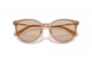 JIMMY CHOO JC5056JD 507693 Transparent Tan napszemüveg