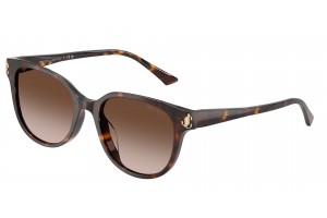 JIMMY CHOO JC5057D 500213 Havana női napszemüveg