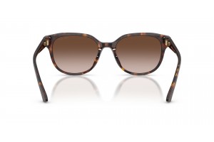 JIMMY CHOO JC5057D 500213 Havana női napszemüveg