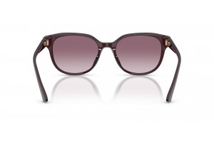 JIMMY CHOO JC5057D Opaline Prune napszemüveg