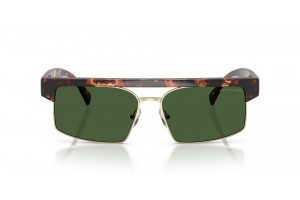 Michael Kors MK2261 Saint Lucia - Dark Tortoise Green