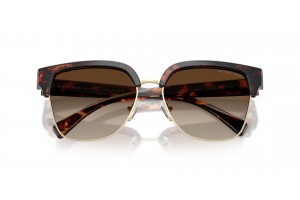 MICHAEL KORS MK2262 EUSTATIUS Dark Tortoise