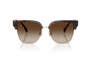 MICHAEL KORS MK2262 EUSTATIUS Dark Tortoise