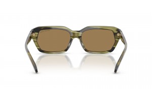 Michael Kors MK2265U Lake Tahoe Olive Horn Brown