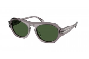 MICHAEL KORS MK2266U 340071 TORONTO Grey Transparent Green