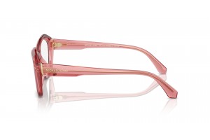 Michael Kors MK4116U 3970 SEASIDE Rose Transparent