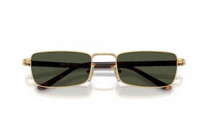 PERSOL PO1025S 515/31 Gold Green napszemüveg