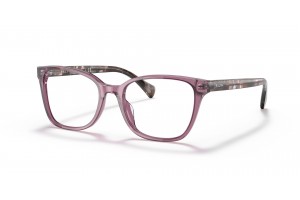 RALPH RA7137U 6008 - Shiny Transparent Violet