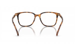 RALPH RA7147 Shiny Red Havana női szemüveg