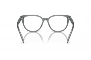 RALPH RA7153 6069 női szemüveg - Transparent Grey