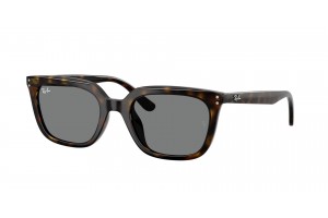 RAY-BAN RB4439D 710/87 Havana Dark Grey napszemüveg