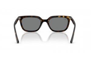 RAY-BAN RB4439D 710/87 Havana Dark Grey napszemüveg