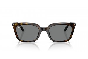 RAY-BAN RB4439D 710/87 Havana Dark Grey napszemüveg