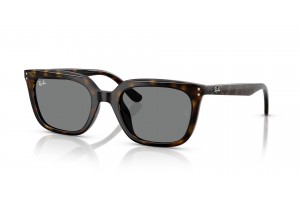 RAY-BAN RB4439D 710/87 Havana Dark Grey napszemüveg