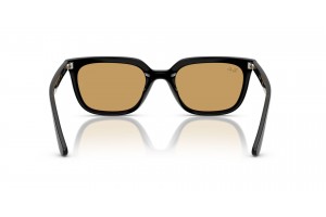 Ray-Ban RB4439D Black Ochre napszemüveg
