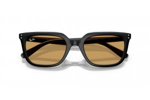 Ray-Ban RB4439D Black Ochre napszemüveg