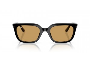 Ray-Ban RB4439D Black Ochre napszemüveg