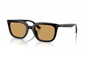 Ray-Ban RB4439D Black Ochre napszemüveg