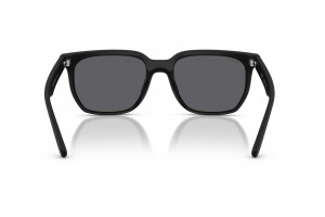 RAY-BAN RB4466D 601S81 matt fekete polarizált szürke