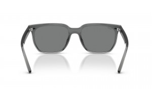 RAY-BAN RB4466D 645087 Transparent Grey / Dark Grey napszemüveg
