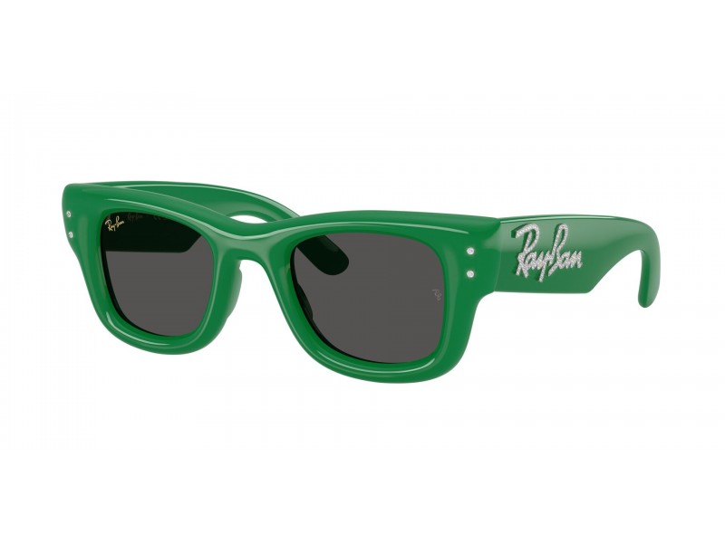 Ray-Ban Wayfarer Puffer Green & Strass Dark Grey