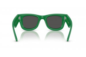 Ray-Ban Wayfarer Puffer Green & Strass Dark Grey