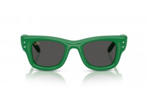 Ray-Ban Wayfarer Puffer Green & Strass Dark Grey