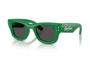 Ray-Ban Wayfarer Puffer Green & Strass Dark Grey