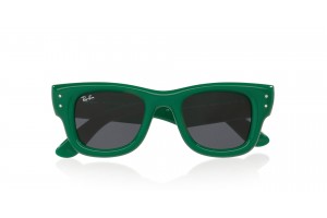 Ray-Ban Wayfarer Puffer Green & Strass Dark Grey