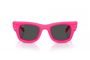 RAY-BAN RB4940B Wayfarer Puffer Pink Strass napszemüveg