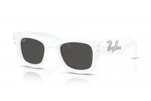 Ray-Ban RB4940B Wayfarer Puffer White & Strass – Dark Grey