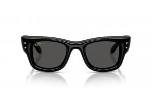 RAY-BAN RB4940B Wayfarer Puffer fekete napszemüveg