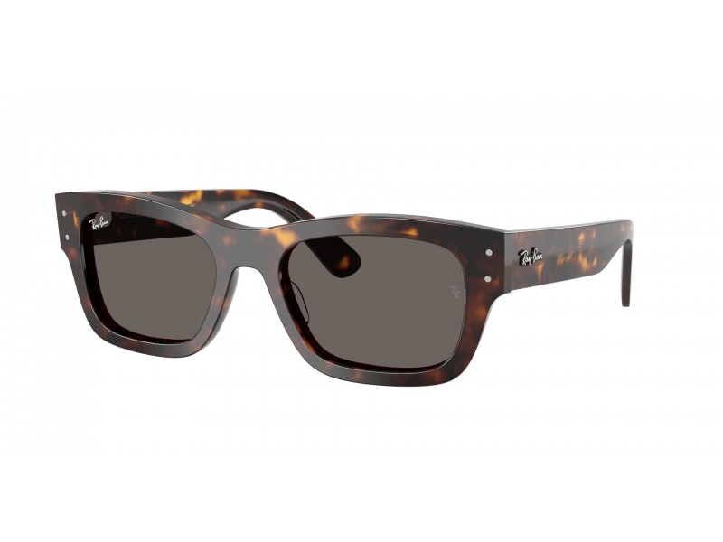 Ray-Ban RB7683S JOSEPH Havana Dark Grey napszemüveg