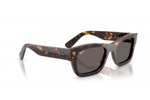 Ray-Ban RB7683S JOSEPH Havana Dark Grey napszemüveg