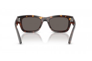 Ray-Ban RB7683S JOSEPH Havana Dark Grey napszemüveg