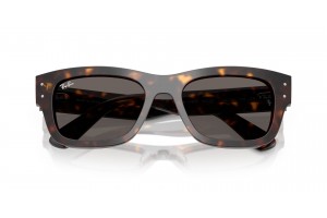 Ray-Ban RB7683S JOSEPH Havana Dark Grey napszemüveg