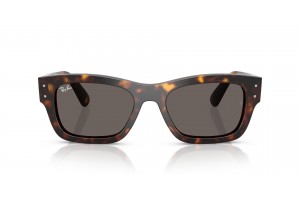 Ray-Ban RB7683S JOSEPH Havana Dark Grey napszemüveg