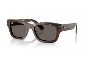 Ray-Ban RB7683S JOSEPH Havana Dark Grey napszemüveg