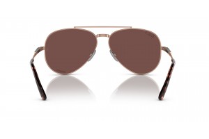 Ray-Ban RB8225 Aviator Titanium Rose Gold Dark Violet