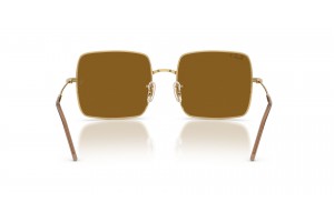 RAY-BAN RBR0104S 001/83 Arista Gold Dark Brown