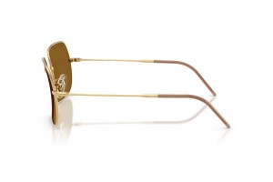RAY-BAN RBR0104S 001/83 Arista Gold Dark Brown